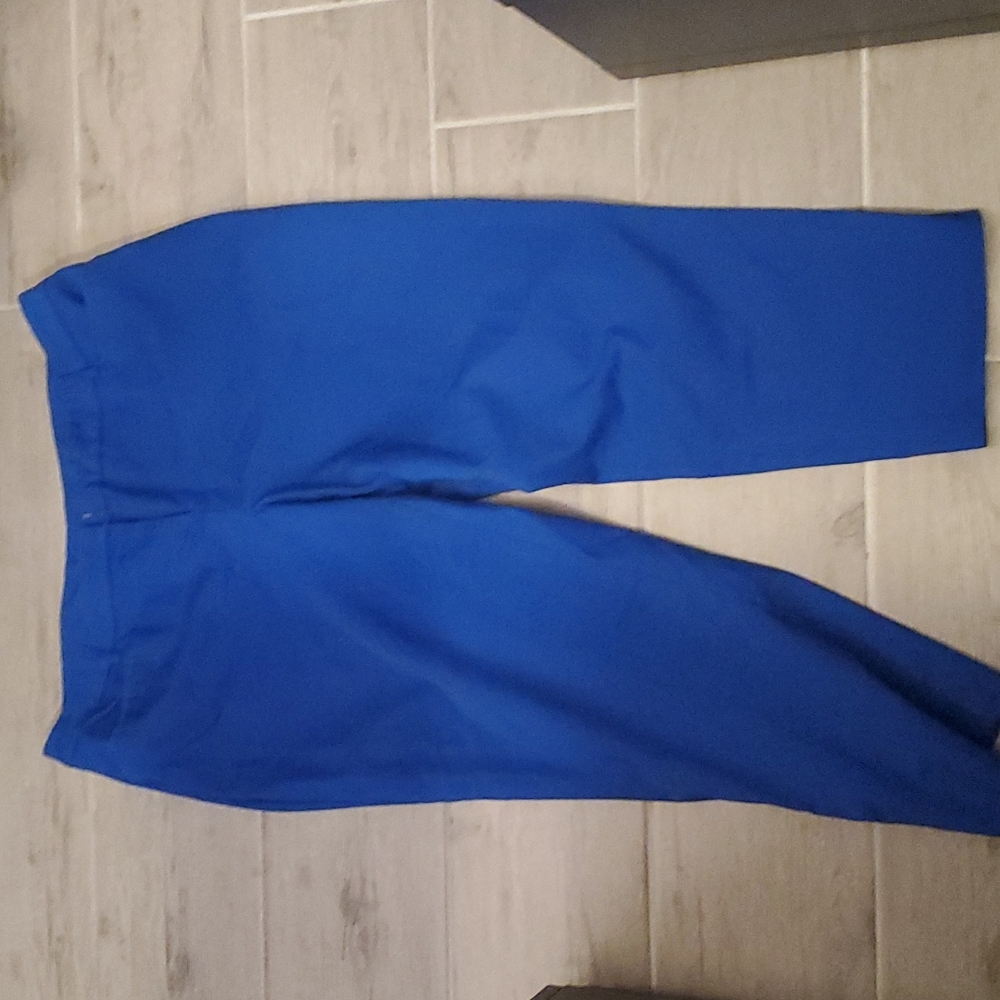 Lane Bryant Ankle Pant, Size 20